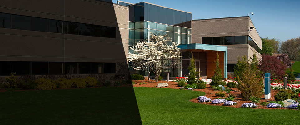 Georgetown Landscapers