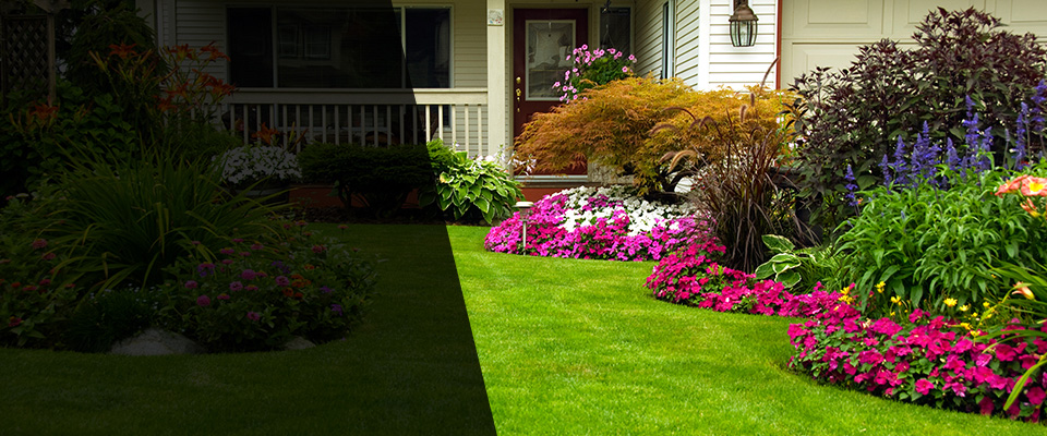 Georgetown Landscapers
